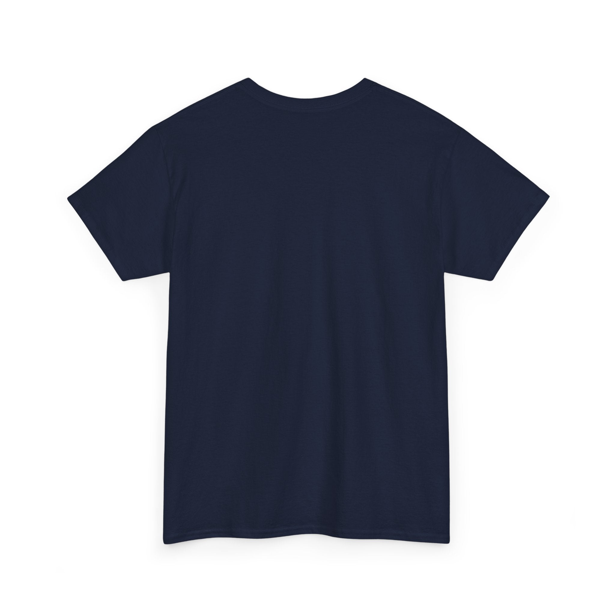 Too Glam to Give a Damn Unisex Heavy Cotton Tee, Trendy Graphic T-Shirt for Fashion Lovers, Casual Wear, Gift for Her, Stylish Everyday Wear