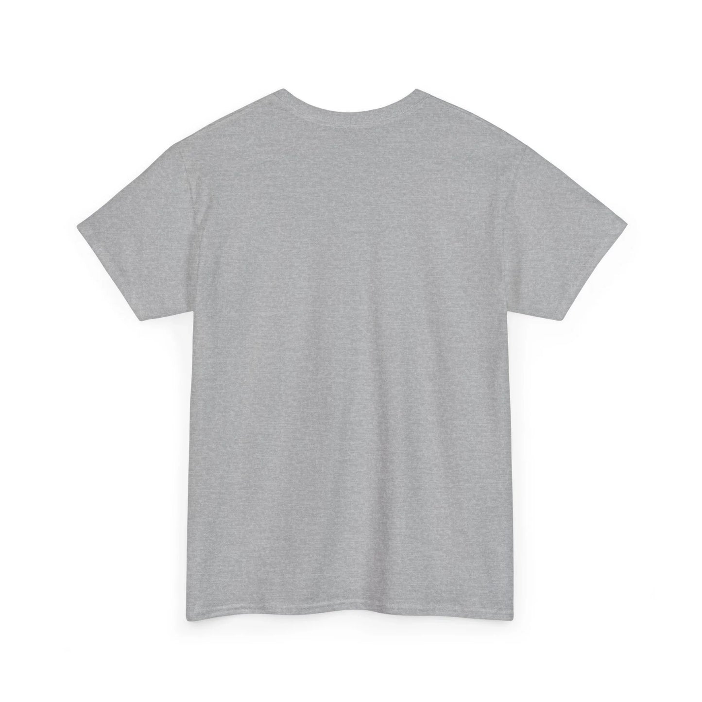 plain grey unisex t-shirt back view, soft cotton short sleeve shirt